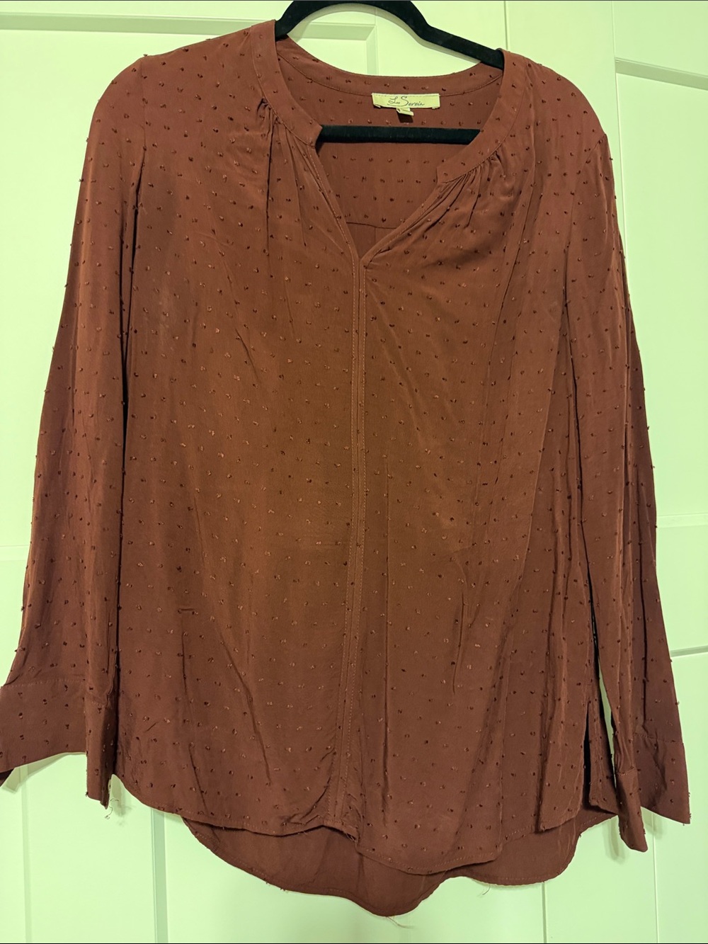 Woven Rust Long-Sleeve Blouse - Casual Chic